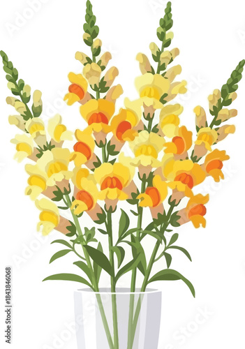 A vibrant illustration of snapdragon flowers arranged in a simple white vase