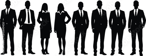 Business people silhouette illustration showing professional corporate team of men and women in formal suits standing together isolated on white background