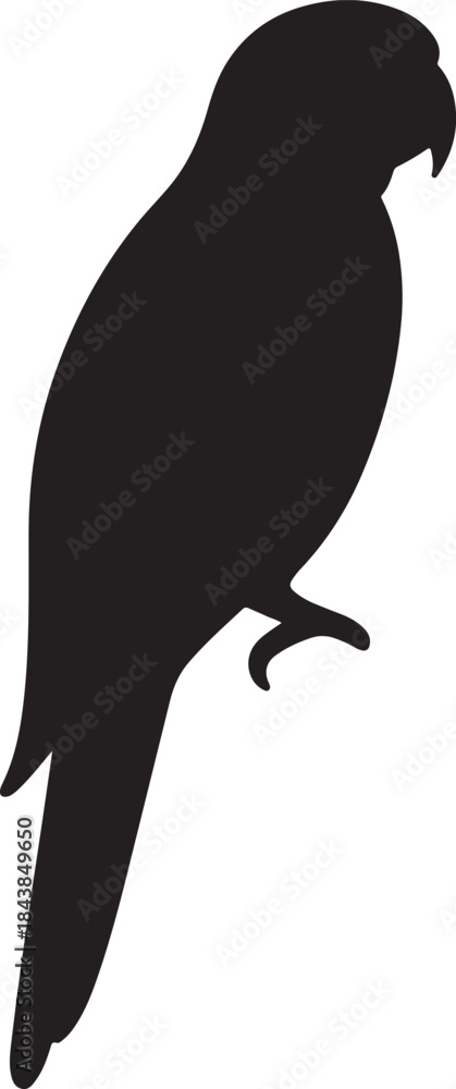 Fototapeta premium kakatua Icon – Vector Illustration