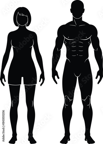 Black Silhouettes of Male Human Figures in Frontal Standing Pose for Anatomy Comparison, Design Reference, and Educational Illustration Use
