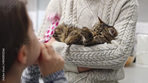 A cute kitten sits on a person's hands, and a child plays with him with a whistle on his birthday.