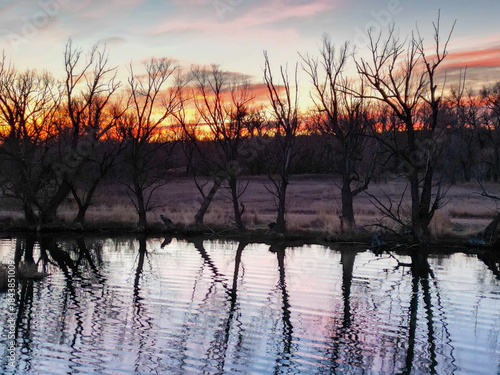 Sunrise on the pond with Trees