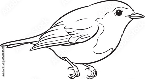 Small Bird Perching Line Art Vector