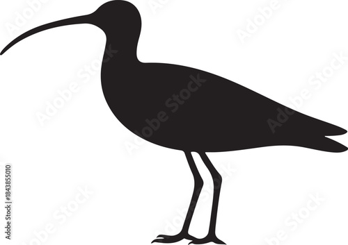 Curlew bird Silhouette vector long beak shorebird icon for logo and wildlife design