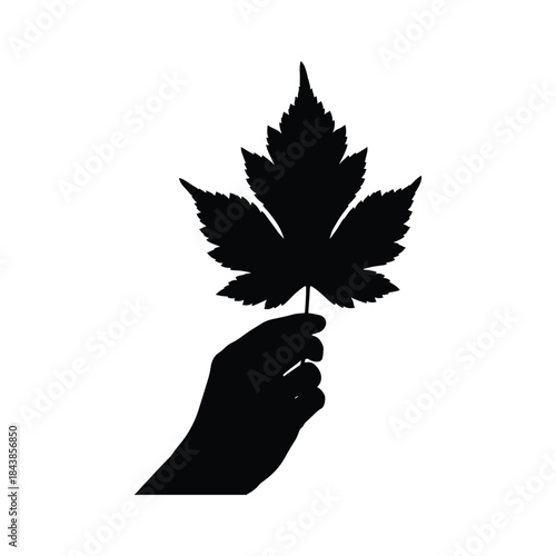 Leaf silhouette hand holding nature vector