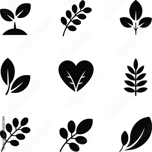 Obraz na plátně A collection of black and white minimalist icons representing various leaves and