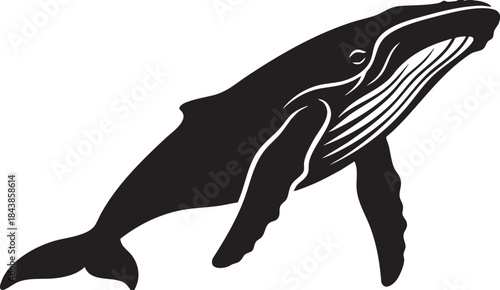 Black Silhouette of a Humpback Whale Marine Animal Vector