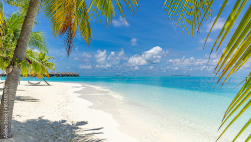 Fototapeta Naklejka Na Ścianę i Meble -  Amazing Maldives beach, luxury tropical travel landscape, beautiful summer nature background, scenic palm leaves, turquoise blue ocean, soft sunshine, clear sky, relaxing vacation paradise
