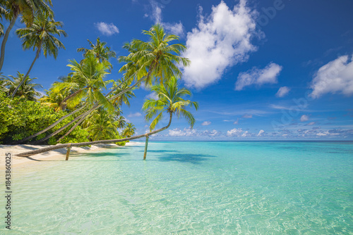 Fototapeta Naklejka Na Ścianę i Meble -  Tropical summer island beach landscape. Beautiful peaceful nature scene with turquoise ocean sunny sky and white sandy shore. Tranquil vacation wallpaper background. Idyllic travel holiday destination