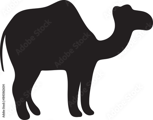 Camel Silhouette