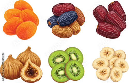 Realistic Vector Set of Exotic Dried Fruits for Healthy Energy and Snacking, Including Figs, Dates, Apricots, and Kiwi Slices, Ideal for Packaging and Natural Food Labels.