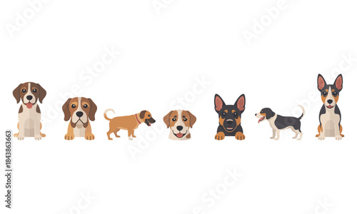 Adorable dogs of different breeds in playful poses together