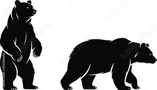 Two black bears standing on white background silhouette