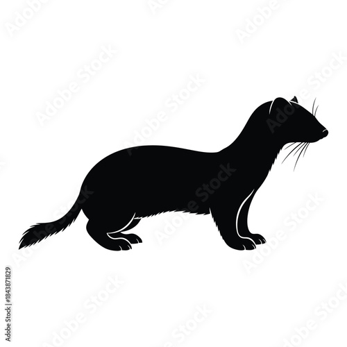 A sleek black silhouette of a weasel in a natural pose