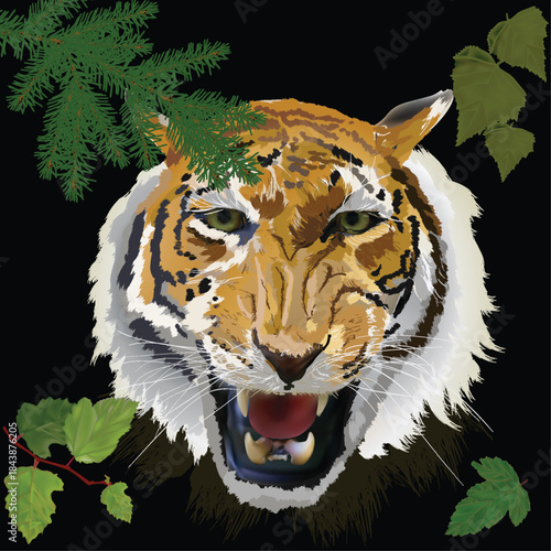 tiger portrait between leaves isolated on black background