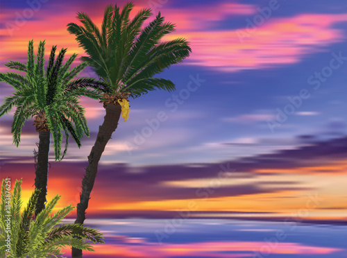 green palm trees at fine lilac and pink sunset near sea