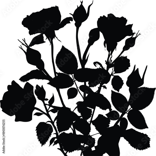 black roses flowers bunch silhouette isolated on white