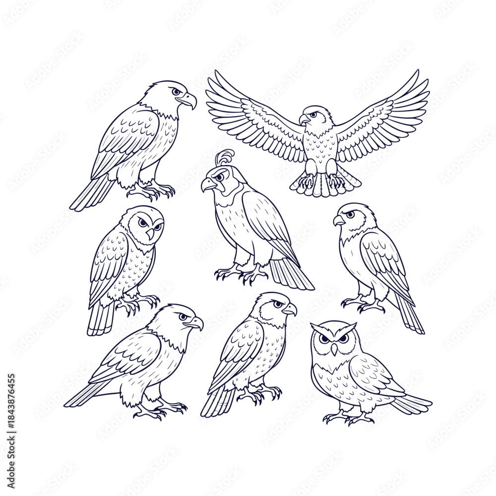 Obraz premium Detailed Collection of Powerful Hunting Birds of Prey Raptors Vector Silhouettes Wildlife Design