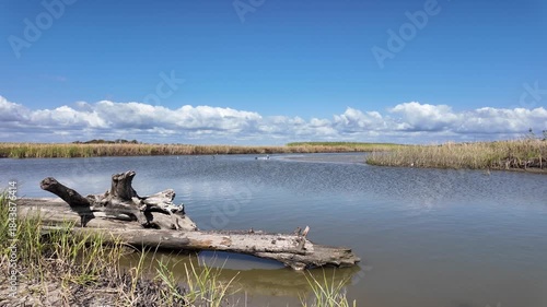 Anahuac National Wildlife Refuge, one of the region's best places for birdwatching and wildlife viewing.