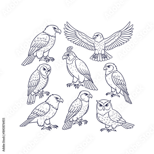 Detailed Collection of Powerful Hunting Birds of Prey Raptors Vector Silhouettes Wildlife Design