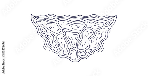 Stunning Tropical Beach Vibes Aqua Blue Ocean Water Clarity Vector Illustration