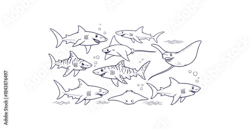 Dynamic Ocean Life Collection Vector Illustration Featuring Dangerous Sharks and Stingrays