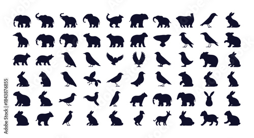 Set of black animal silhouettes isolated on white background depicting a diverse range of wildlife