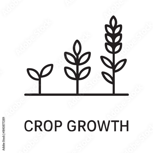 Simple illustration depicting the stages of plant growth from seedling to mature crop with text below