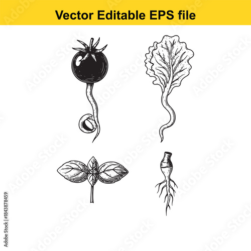  Illustration of various vegetables