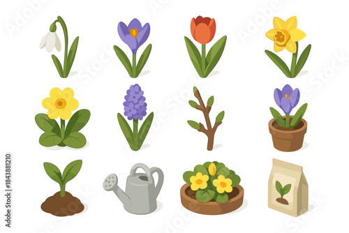 Colorful spring garden elements in isometric style featuring flowers and gardening tools