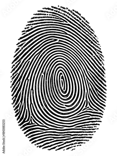 Realistic fingerprint texture illustration showing biometric identity pattern for security, forensic analysis, and digital verification systems