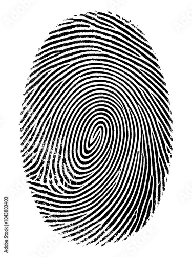 Fingerprint icon illustration representing biometric identity authentication, security verification, and digital access control