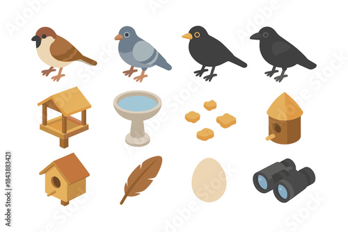Isometric birdwatching elements: birds, feeders, and accessories in flat design