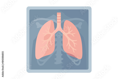Flat style illustration of human lungs and ribcage anatomy in medical context