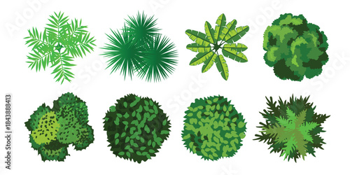 Vector view of trees in hand-drawn top view, isolated on a white background,  Potted flowers colorful icons for landscape, architectural, interior design. 