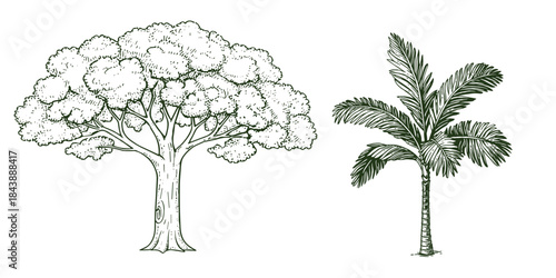 Vector view of trees in hand-drawn top view, isolated on a white background,  Potted flowers colorful icons for landscape, architectural, interior design. 