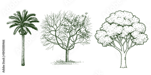 Vector view of trees in hand-drawn top view, isolated on a white background,  Potted flowers colorful icons for landscape, architectural, interior design. 
