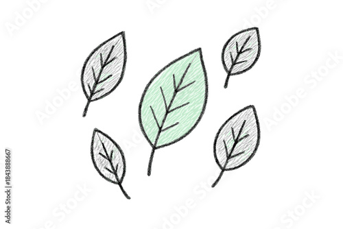 Hand drawn leaf doodles in sketchy style