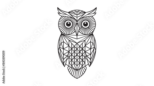 Geometric owl illustration with sharp lines and intricate patterns against a plain background