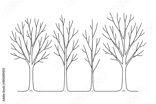 Minimalist black and white tree silhouettes with leafless branches