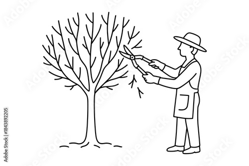 Gardener pruning tree: simple black and white line drawing of horticulture activity
