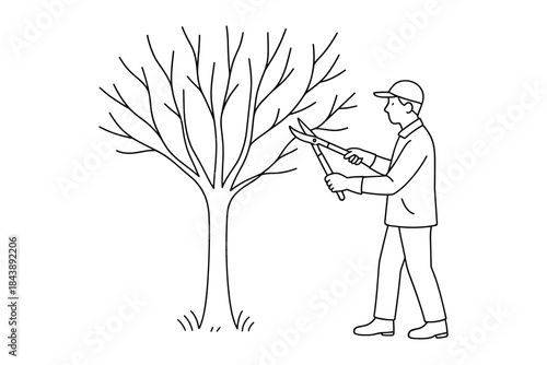 Gardener pruning tree with shears in black and white outline drawing