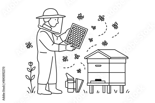 Beekeeper inspecting hive with bees: line art for agriculture and nature concepts