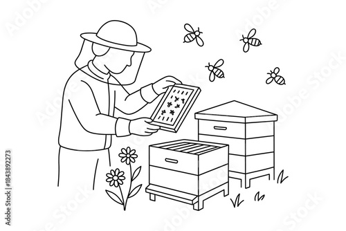 Beekeeper examining hive in linear art with bees and flowers