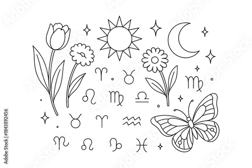 Astrology and nature symbols: minimalist line art with celestial elements