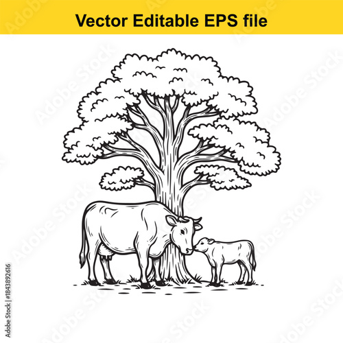  Cow and calf under tree