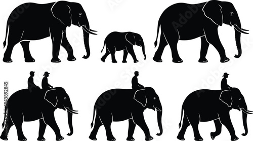 Elephant and Rider Silhouette Vector Set, Walking Wild Asian Elephant Family with Tourists and Mahouts Riding, Black Icons Isolated