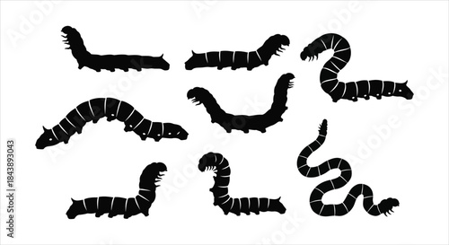 Collection of caterpillar silhouettes on a white background
