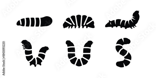 Set of six black caterpillar silhouettes on white background