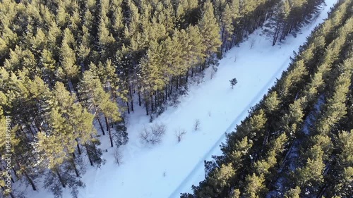Aerial view winter road through dense pine forest at sunset